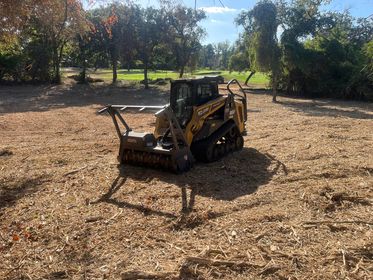 forestry mulching anderson tx